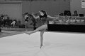 DSC_4547