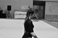 DSC_4564