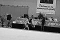 DSC_4585