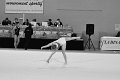 DSC_4599