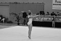 DSC_4603