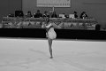 DSC_4611