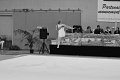 DSC_4613