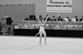 DSC_4614