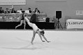 DSC_4616