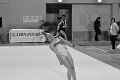 DSC_4622