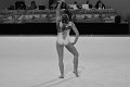 DSC_4626