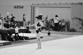 DSC_4633