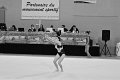 DSC_4638