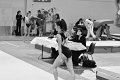 DSC_4662