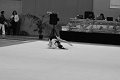 DSC_4679