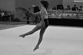 DSC_4694