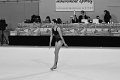 DSC_4734