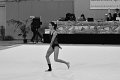 DSC_4736