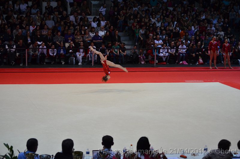 DSC_7719.JPG
