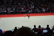 DSC_7046