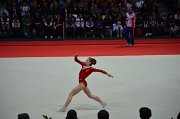 DSC_7393