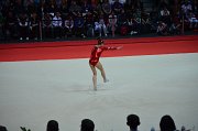 DSC_7402