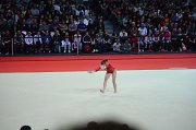 DSC_7470