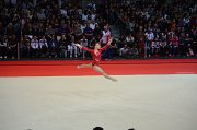 DSC_7481