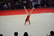 DSC_7611