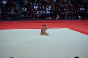 DSC_7629