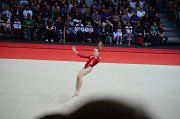 DSC_7664