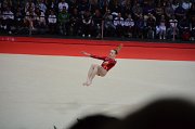 DSC_7665