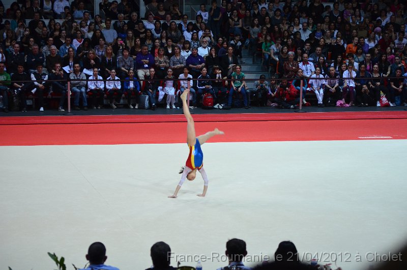 DSC_7982.JPG