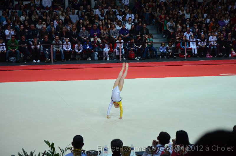 DSC_8259.JPG