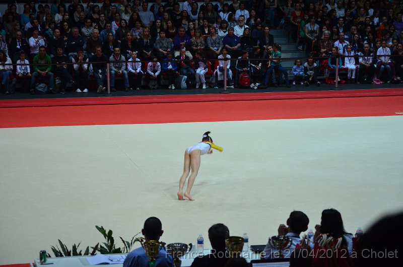 DSC_8260.JPG