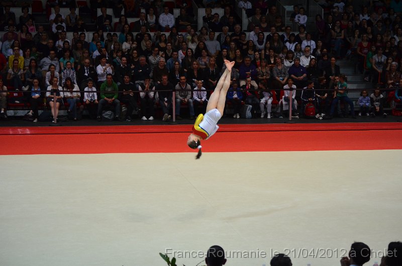 DSC_8263.JPG