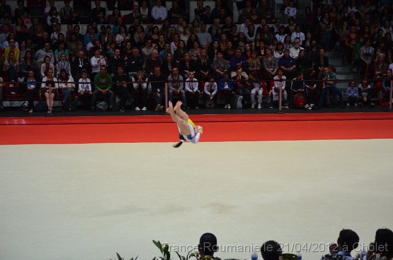 DSC_8264.JPG