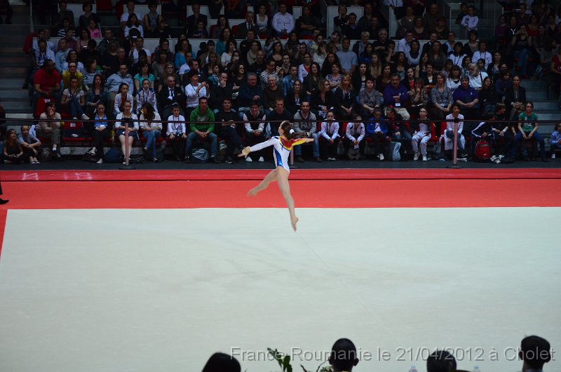 DSC_8268.JPG