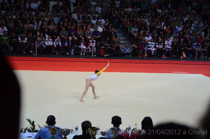 DSC_8335.JPG