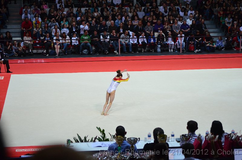 DSC_8379.JPG