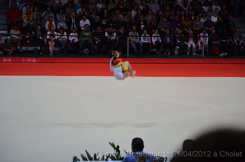 DSC_8419.JPG