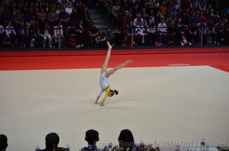 DSC_8426.JPG