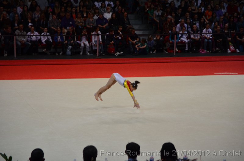 DSC_8427.JPG