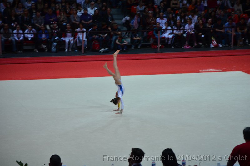 DSC_8473.JPG