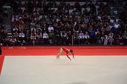 DSC_7767