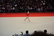 DSC_7799