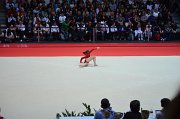 DSC_7811