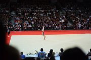 DSC_7846