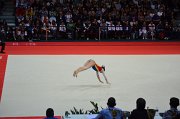 DSC_7984