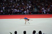 DSC_8005