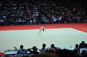 DSC_8247
