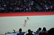 DSC_8260
