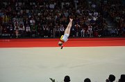 DSC_8263