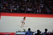DSC_8334